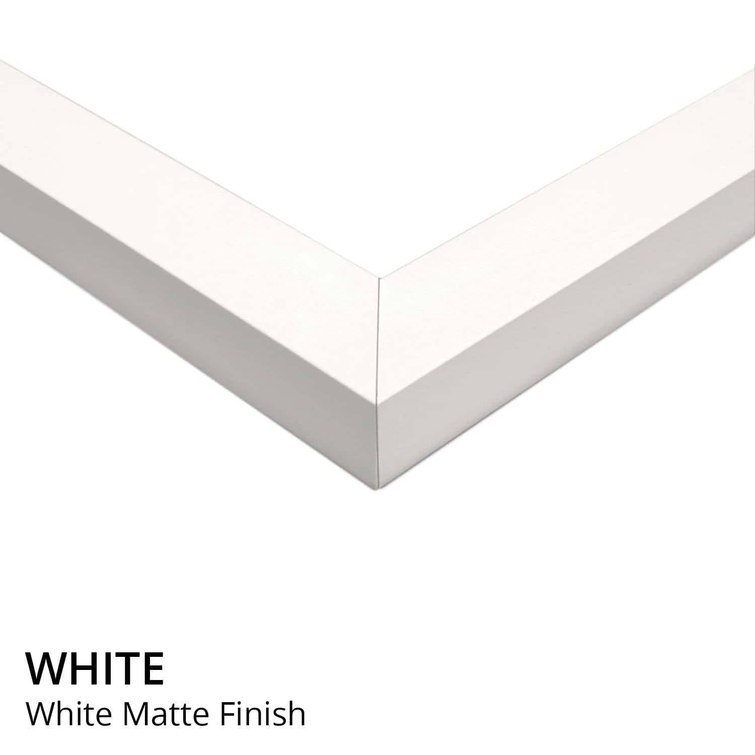 iCanvas "Autumn Deciduous Forest, Great Smoky Mountains National Park